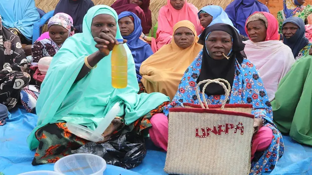 Le Fonds de Consolidation de la paix des Nations Unies (UN PBF) renforce la paix et la résilience face aux défis sécuritaires et climatiques au Niger